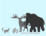 Eiszeitliche Megafauna