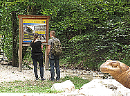 Infotafel Almbachklamm