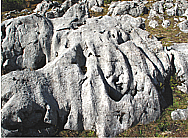 Karst - Rundkarren auf der Reiteralm